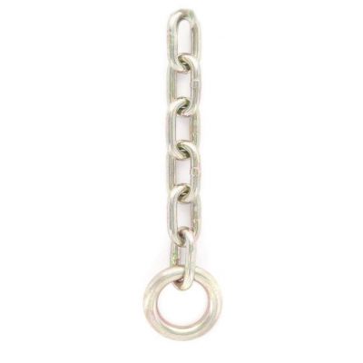 Fixe Plated Steel Chain + Ring Anchor
